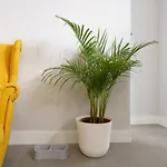 Apartamento Circulo De Artistas *