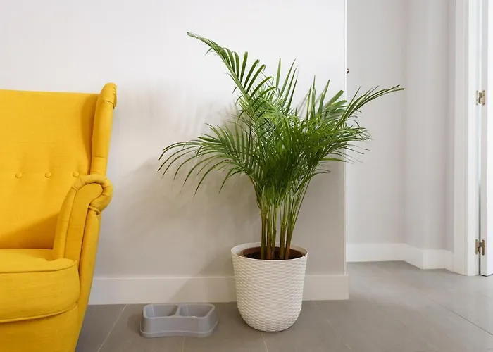 Appartement Circulo De Artistas *