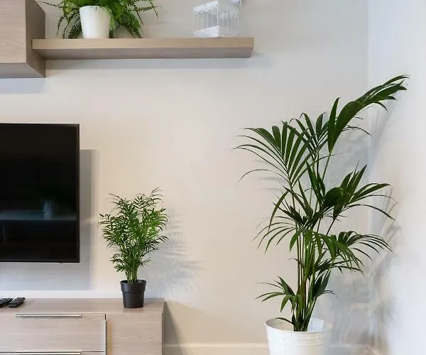 Circulo De Artistas Appartamento *